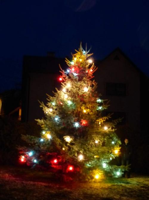 Rozsvicování vánočního stromečku